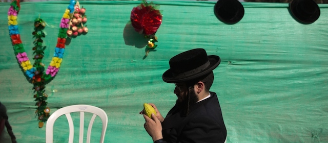 Un ebreo ultra-ortodosso con in mano un cedro per il Sukkot a Gerusalemme, 7 ottobre 2014. 
(MENAHEM KAHANA/AFP/Getty Images)