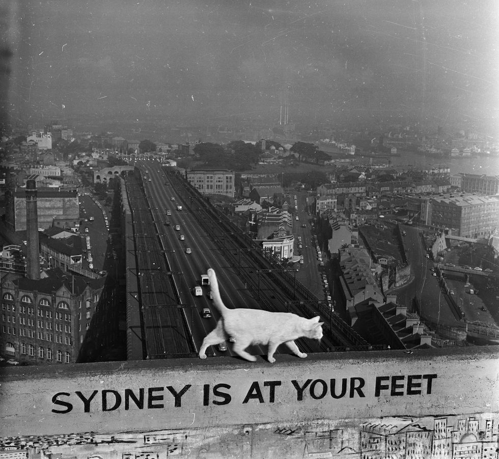 Sydney ai tuoi piedi