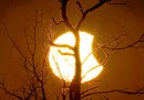 Le foto dell'eclissi solare