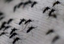L'epidemia di chikungunya ai Caraibi