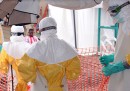 6 aggiornamenti su ebola