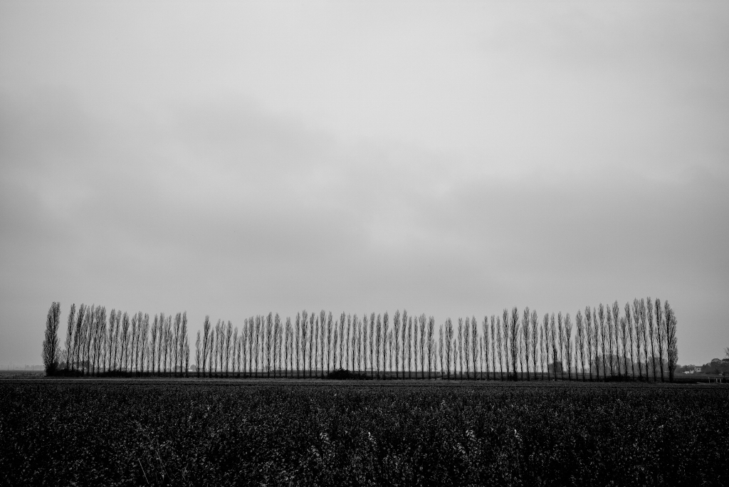 La fila dei desideri