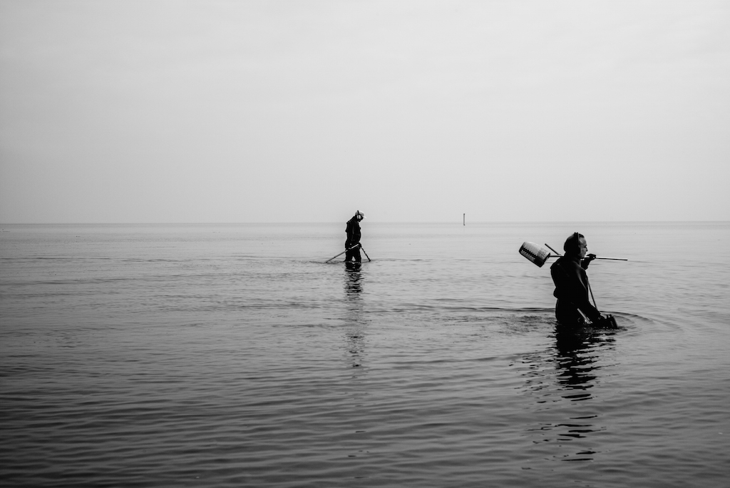 Interstellar Romagna