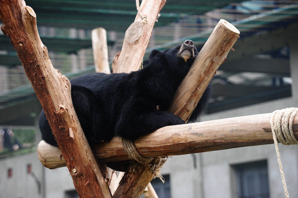 Mercoledì 5 novembre