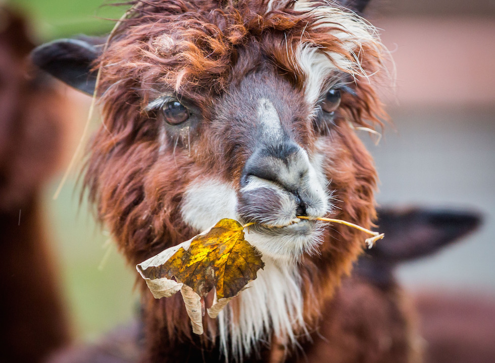 Mercoledì 19 novembre