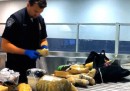 Gli alimenti confiscati all'aeroporto di New York