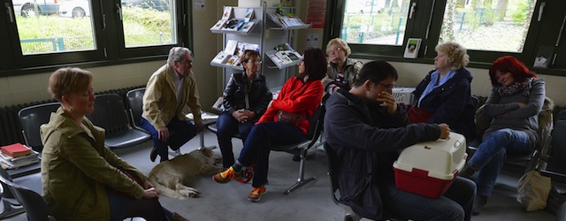 BERLIN, GERMANY - APRIL 29: Pet owners wait with their animals in the waiting room to see a veterinarian at the Dueppel animal clinic on April 29, 2013 in Berlin, Germany. The Dueppel clinic consists of two separate facilities, one for horses and other large animals, the second for small animals. The Dueppel clinic belongs to the Freie Universitaet Berlin university and is one of five university veterinary clinics in Germany. The clinic for small animals is now the most modern in Germany. (Photo by Theo Heimann/Getty Images)