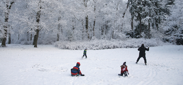 Una famiglia gioca a palle di neve nel parco del distretto di Zehlendorf a Berlino, venerdì 26 dicembre 2014, dopo la prima forte nevicata della stagione invernale. 
(Sean Gallup/Getty Images)