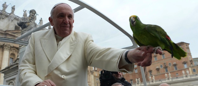Pope Francis holds a parrot shown by a pilgrim as he arrives for his general audience at St Peter's square on January 29, 2014 at the Vatican. AFP PHOTO / OSSERVATORE ROMANO
RESTRICTED TO EDITORIAL USE - MANDATORY CREDIT "AFP PHOTO / OSSERVATORE ROMANO" - NO MARKETING NO ADVERTISING CAMPAIGNS - DISTRIBUTED AS A SERVICE TO CLIENTS (Photo credit should read OSSERVATORE ROMANO/AFP/Getty Images)