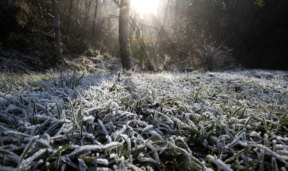 Domenica 14 dicembre