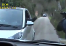 Il video dell'arresto di Massimo Carminati