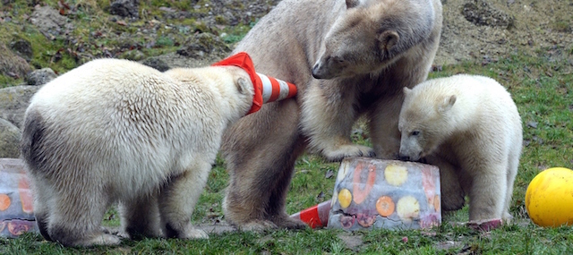 Weekly Beasts di sabato 13 dicembre 2014