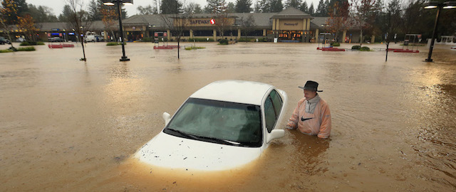 Guerneville, California, 11 dicembre 2014.
(AP Photo, The Press Democrat, Kent Porter)