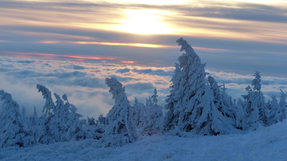 Domenica 28 dicembre