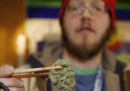 La vendita libera della marijuana in Colorado, un anno dopo