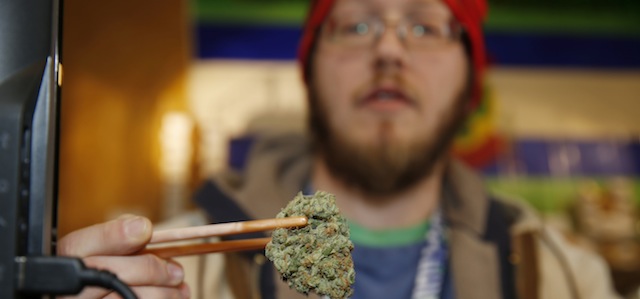 FILE - In this Friday, Dec. 19, 2014, file photo, sales associate Matt Hart uses a pair of chopsticks to hold a bud of Lemon Skunk, the strain of highest potency available at the 3D Dispensary, in Denver. Colorado emerged as the state with the second-highest percentage of regular marijuana users as it began legalizing the drug, according to a new national study released, Friday, Dec. 26, 2014. (AP Photo/David Zalubowski, File)