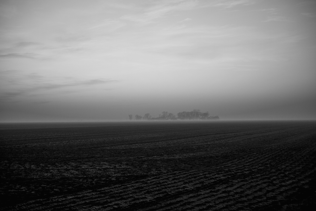 Verso sera, gennaio, senza smettere