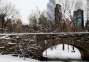 Le foto della neve a New York
