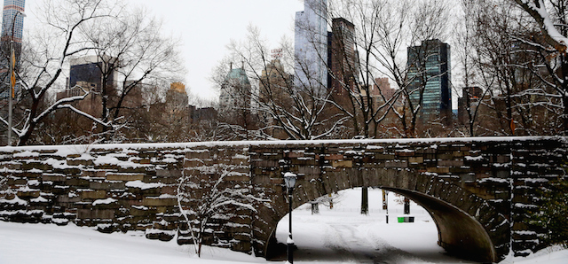 Central Park a New York.
(Alex Trautwig/Getty Images)