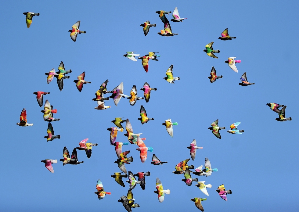 Mercoledì 28 gennaio