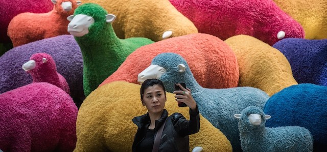 Una donna si fa un selfie davanti a pecore colorate in un centro commerciale. 
(PHILIPPE LOPEZ/AFP/Getty Images)