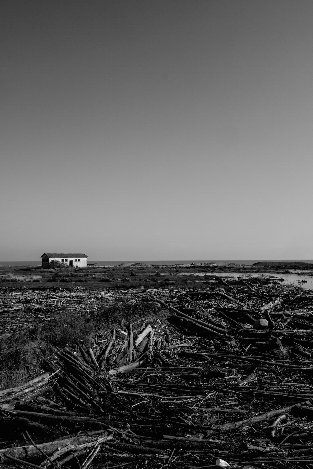 Abbiano visto le onde