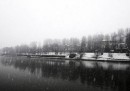 Le foto della prima neve a Torino