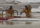 Il video dei soccorsi a due cani bloccati in un acquitrino ghiacciato
