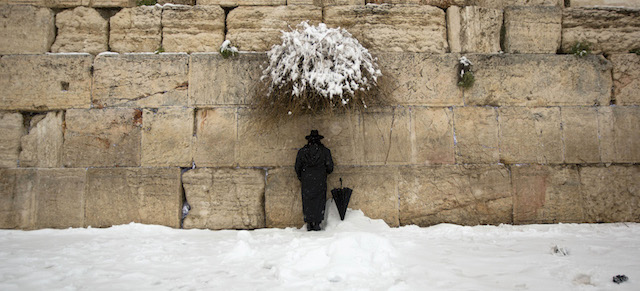 Un ebreo ultraortodosso prega al Muro del Pianto a Gerusalemme, il 20 febbraio 2015.
(AP Photo/Sebastian Scheiner)