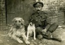 I cani della Grande guerra