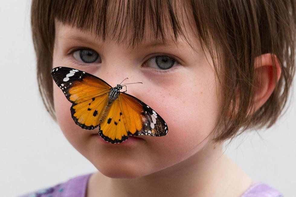 Игра девочки бабочки. Детки бабочки. Бабочка детский. Девочка с бабочкой. Бабочка картинка для детей.
