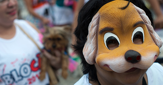 A woman wearing a dog-face mask takes part in the animals carnival, in Copacabana beach in Rio de Janeiro on February 03, 2013. AFP PHOTO / CHRISTOPHE SIMON (Photo credit should read CHRISTOPHE SIMON/AFP/Getty Images)