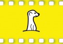 Meerkat, l'app per i video in diretta