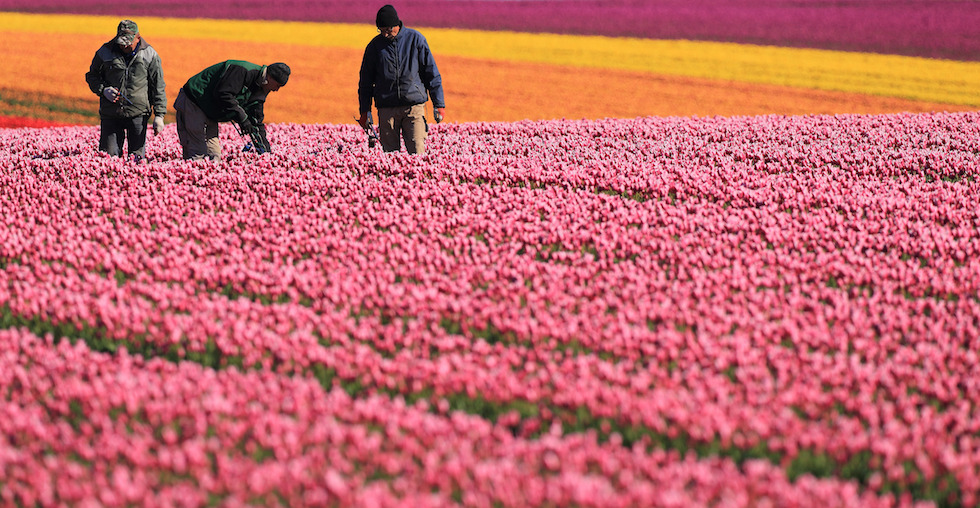 Mercoledì 29 aprile