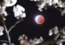 Le foto dell’eclissi lunare totale
