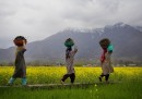 Srinagar, India