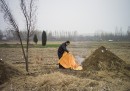 Gaobeidian, Hebei, Cina
