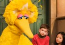 Chi c’è dentro Big Bird, il pupazzo di Sesame Street