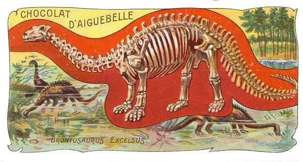 brontosauro-illustrazione