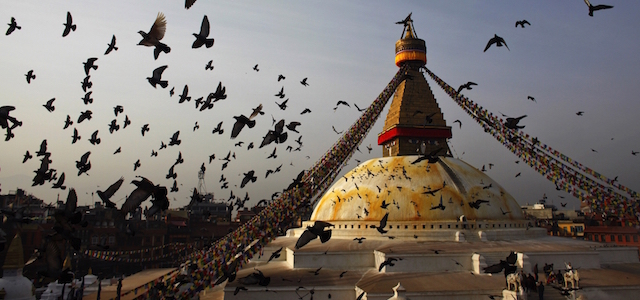 Pigeons fly around Boudhanath Stupa, a world heritage site, as devotees perform rituals on the last day of Tibetan Losar, or New Year, in Kathmandu, Nepal, Tuesday, March 4, 2014. Tibetans across the world marked the arrival of the Wood Horse year with prayers and festivities. (AP Photo/Niranjan Shrestha)