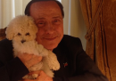 Le foto più belle dell'account Instagram di Silvio Berlusconi