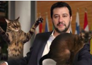 La pagina Facebook di Salvini è stata invasa di immagini di gattini