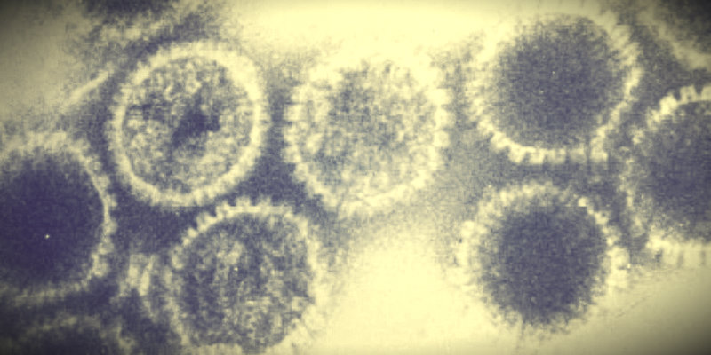 Virus dell'herpes al microscopio elettronico (Wikimedia)