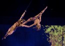 È partito "Alla Vita!" del Cirque du Soleil
