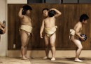 Il declino del sumo