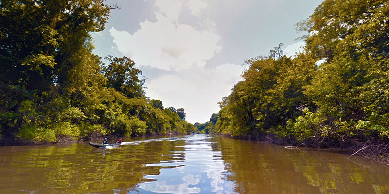 Rio Mariepauá nei pressi del Rio Madeira (Google StreetView)