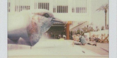 Polaroid da Expo