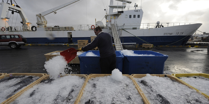 Un uomo fotograto mentre lavora nel porto di Reykjavik (OLIVIER MORIN/AFP/GettyImages)