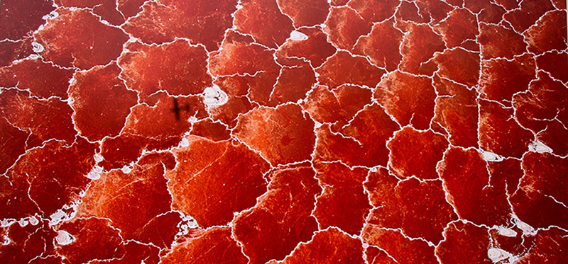Il lago Natron, nella Great Rift Valley, al confine tra Tanzania e Kenya. Il colore rosso dell'acqua ipersalina viene dato dalle alghe Halophiles, Kenya 2005 (George Steinmetz/Contrasto)
