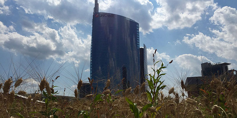 La raccolta del grano di Porta Nuova. Wheatfield, l'opera d'arte ambientale di Agnes Denes per Expo è terminata (Marta Cantoni/Il Post)